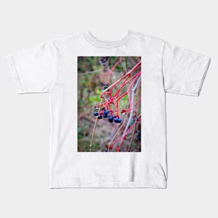 Dogwood Berries 2 Kids T-Shirt